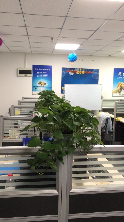 市场营销策划;日用百货,办公设备,教学设备,计算机软硬件